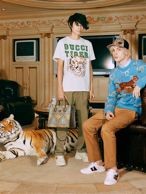 gucci pet tiger